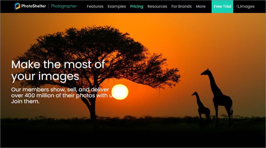 PhotoShelter Website Builder for Photographers