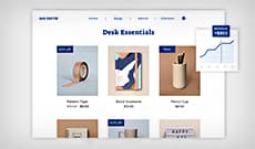 Website Builder Specialization