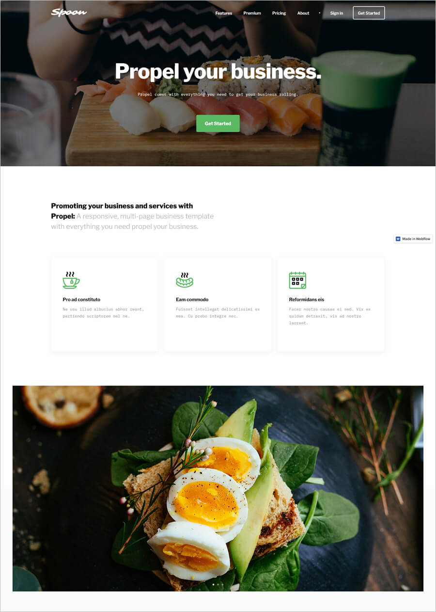 Propel Free Business Template