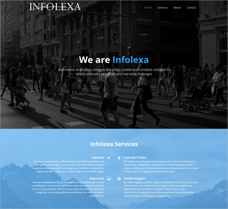 Infloexa business website example