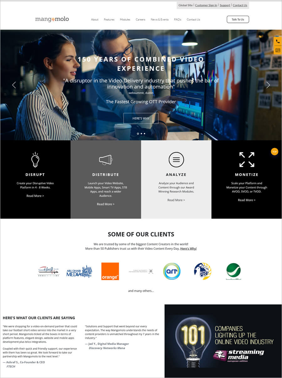 Mangomolo small business website example