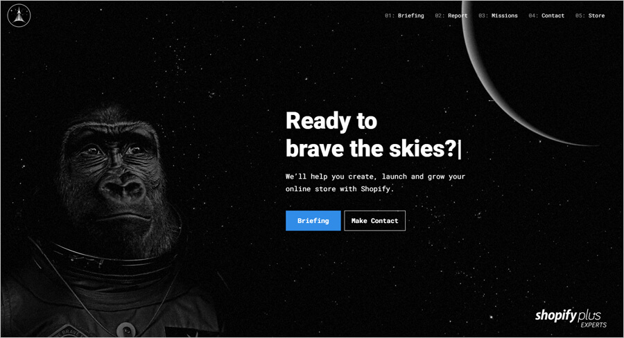 Brave the Skies website example for business
